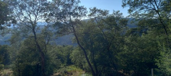 1 غرف نوم منزل في Marco de Canaveses, Portugal رقم 20181 10