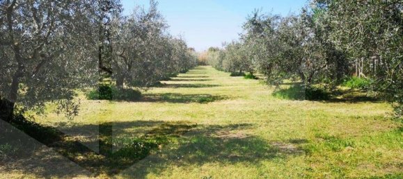 6000m² Land in Ciampino, Italy No. 20737 6