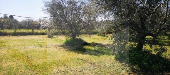 6000m² Land in Ciampino, Italy No. 20737 10