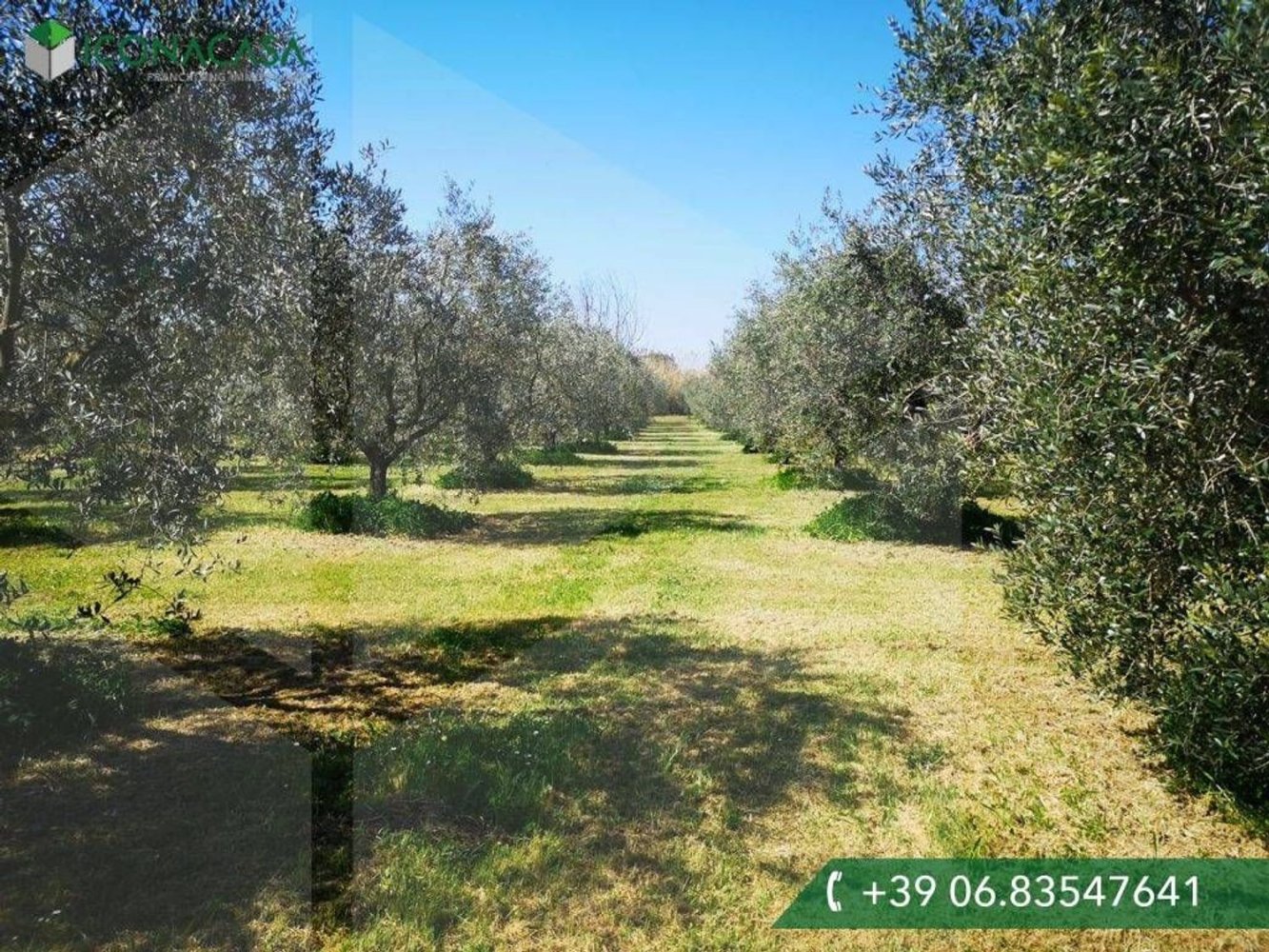 6000m² Land in Ciampino, Italy No. 20737