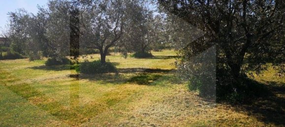 6000m² Land in Ciampino, Italy No. 20737 8