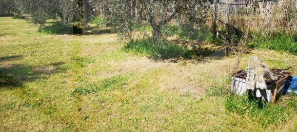 6000m² Land in Ciampino, Italy No. 20737 7