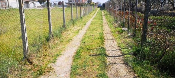 6000m² Land in Ciampino, Italy No. 20737 3