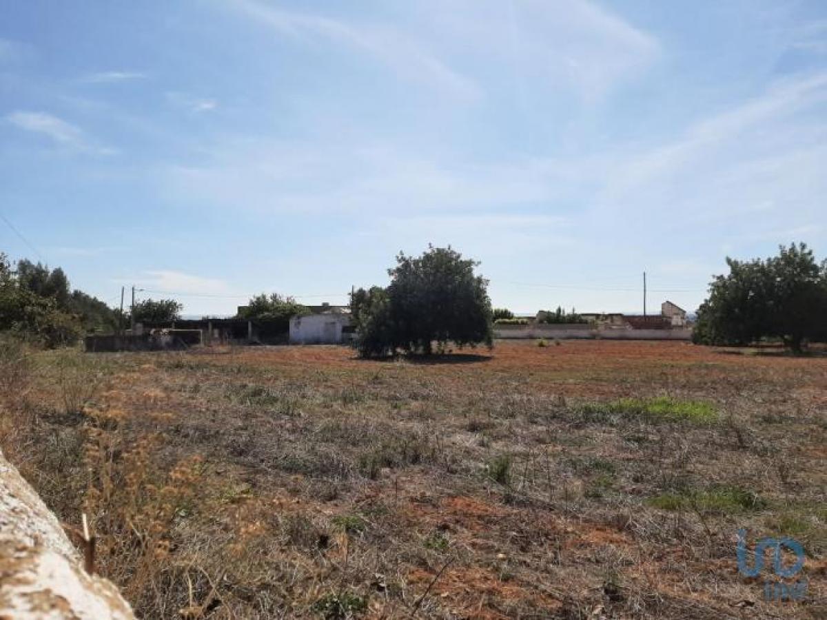  Land in Olhao, Portugal No. 2218