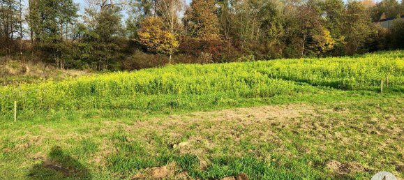  Land in Pichl bei Wels, Austria No. 125265 2