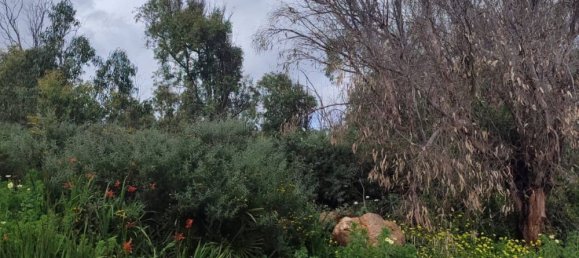 Terreno em Chullera, Spain N.º 191132 10