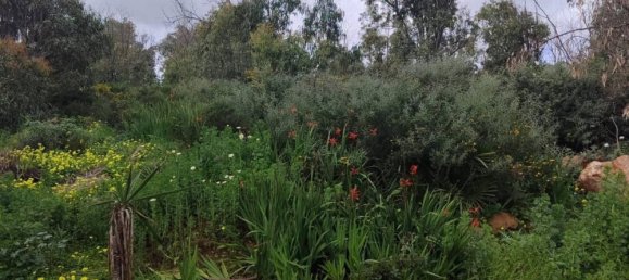 Terreno em Chullera, Spain N.º 191132 11