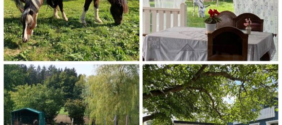 5 rooms House in Neustadt an der Waldnaab, Germany No. 292073 5