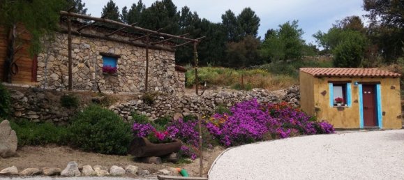 6 rooms House in Mamoiada, Italy No. 49831 16