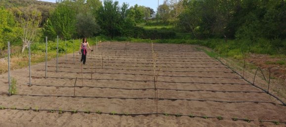 6 rooms House in Mamoiada, Italy No. 49831 14