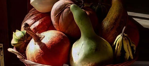 6 rooms House in Mamoiada, Italy No. 49831 18