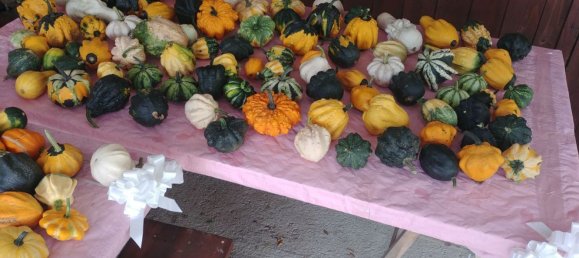 6 rooms House in Mamoiada, Italy No. 49831 12