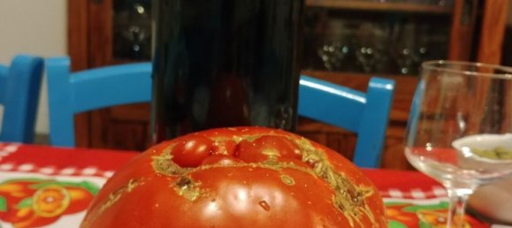 6 rooms House in Mamoiada, Italy No. 49831 41