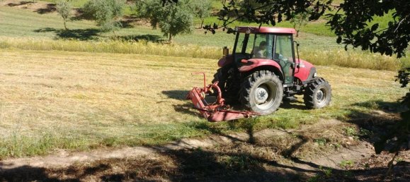 6 rooms House in Mamoiada, Italy No. 49831 35