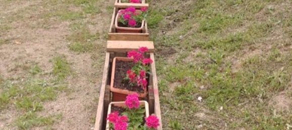 6 rooms House in Mamoiada, Italy No. 49831 9