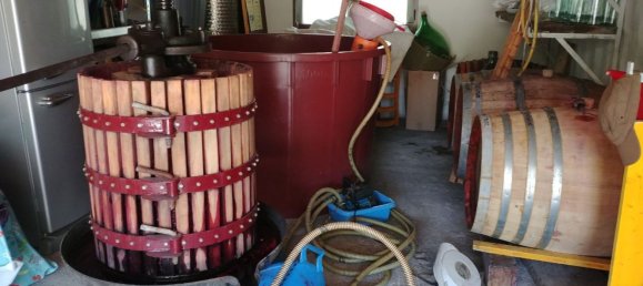 6 rooms House in Mamoiada, Italy No. 49831 39