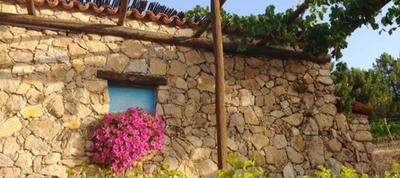 6 rooms House in Mamoiada, Italy No. 49831 6