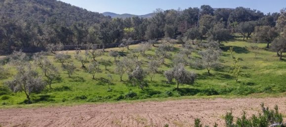 6 rooms House in Mamoiada, Italy No. 49831 29