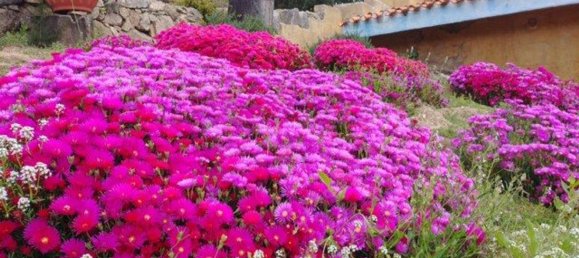 6 rooms House in Mamoiada, Italy No. 49831 36