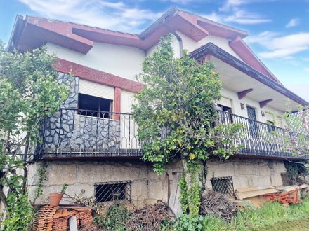 6 bedrooms House in Mortagua, Portugal No. 19077