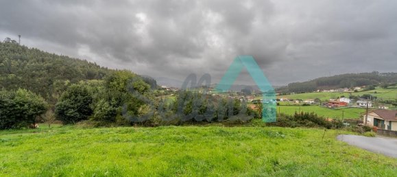 4 Schlafzimmer Haus in Soto del Barco, Spain, Nr. 79739 16