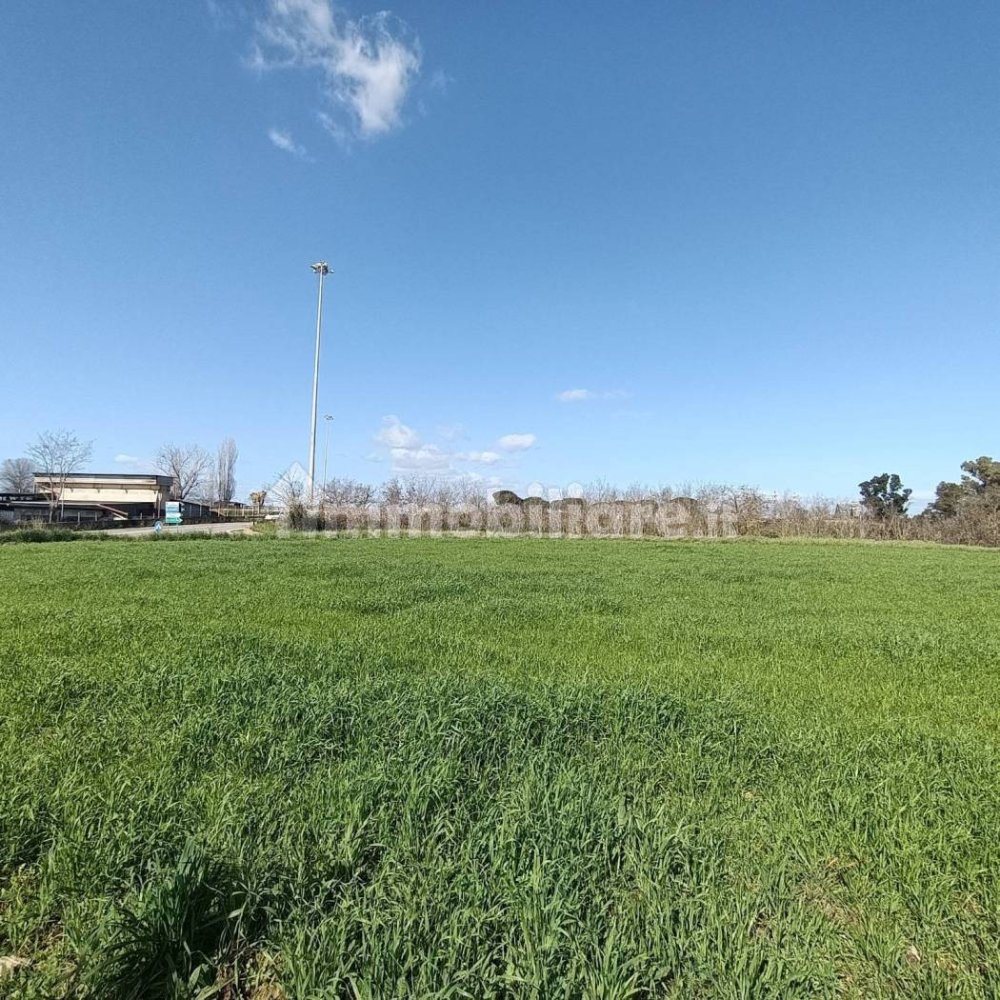 60000m² Land in Rome, Italy No. 134965