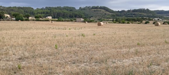 36m² Land in Sant Joan, Spain No. 174853 3