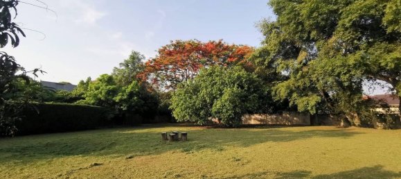 20 bedrooms Commercial property in Chiang Mai, Thailand No. 21880 11