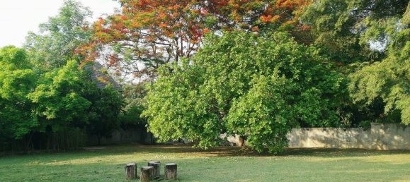 20 bedrooms Commercial property in Chiang Mai, Thailand No. 21880 12