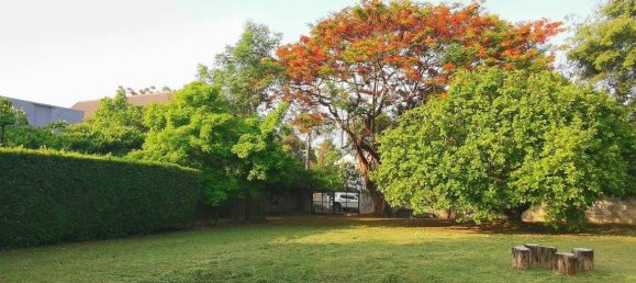 20 bedrooms Commercial property in Chiang Mai, Thailand No. 21880 4