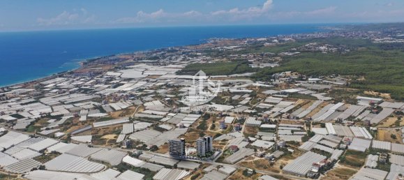 Apartment 1+1 in Konakli, Turkey No. 11679 23