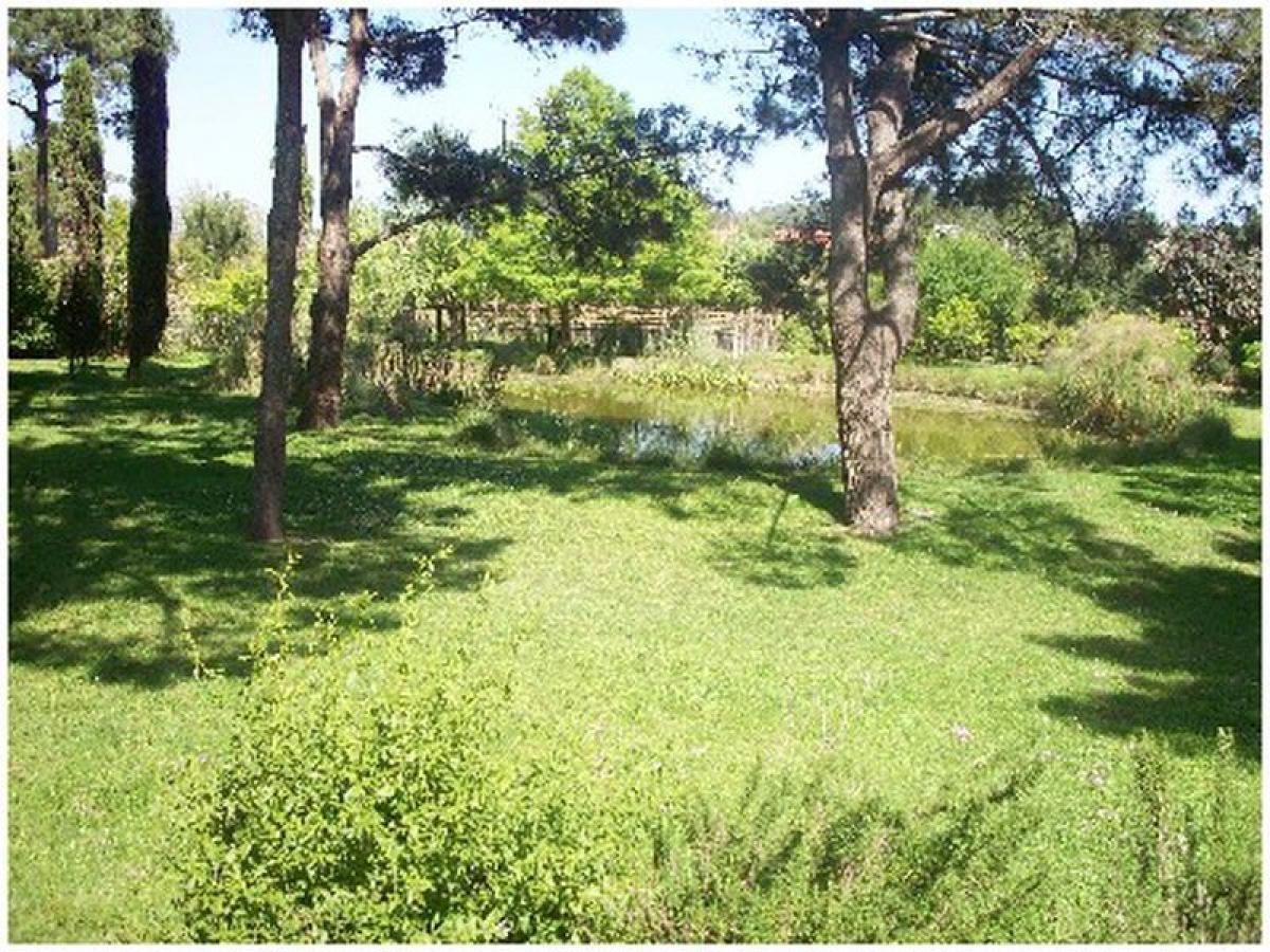 4 غرف نوم منزل في Maldonado, Uruguay رقم 9123