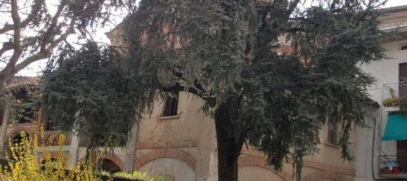 2-Zimmer Wohnung in San Vittore Olona, Italy, Nr. 64360 13