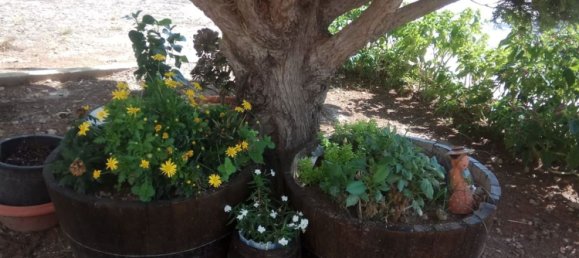 5 chambres Maison à Yecla, Spain No. 143344 6