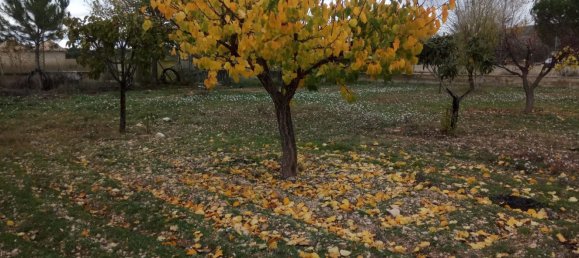 5 chambres Maison à Yecla, Spain No. 143344 9