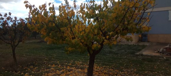 5 chambres Maison à Yecla, Spain No. 143344 8