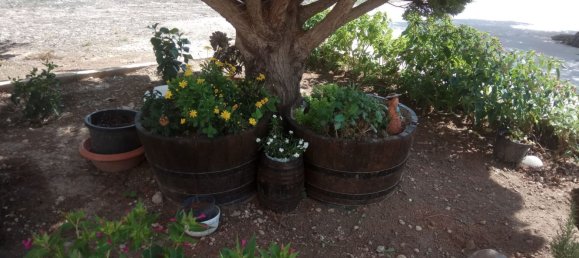 5 chambres Maison à Yecla, Spain No. 143344 2