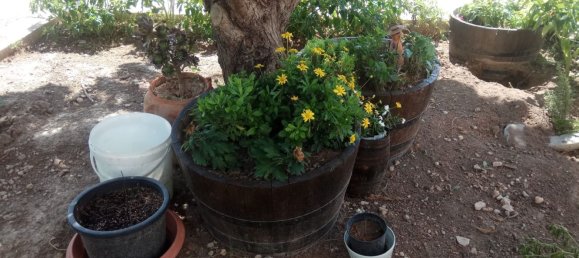 5 chambres Maison à Yecla, Spain No. 143344 3