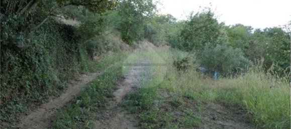 Земельный участок 5700м² в Кастель Сан Джорджо, Италия № 70842 5