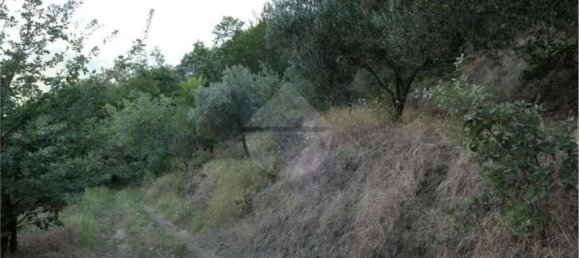 Земельный участок 5700м² в Кастель Сан Джорджо, Италия № 70842 9