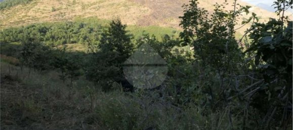 Земельный участок 5700м² в Кастель Сан Джорджо, Италия № 70842 11