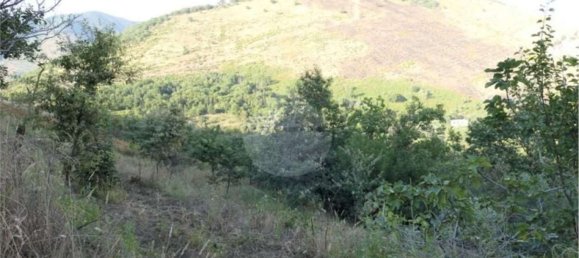 Земельный участок 5700м² в Кастель Сан Джорджо, Италия № 70842 6