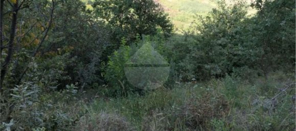 Земельный участок 5700м² в Кастель Сан Джорджо, Италия № 70842 3