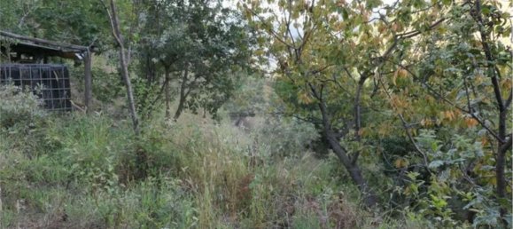 Земельный участок 5700м² в Кастель Сан Джорджо, Италия № 70842 13