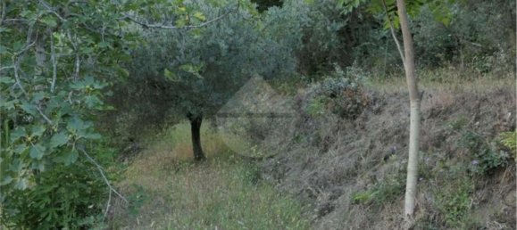 Земельный участок 5700м² в Кастель Сан Джорджо, Италия № 70842 12