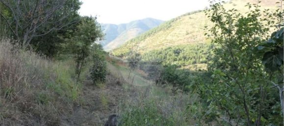 Земельный участок 5700м² в Кастель Сан Джорджо, Италия № 70842 2