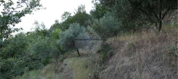 Земельный участок 5700м² в Кастель Сан Джорджо, Италия № 70842 4