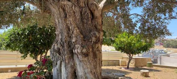 3 bedrooms House in Ypsonas, Cyprus No. 16517 15