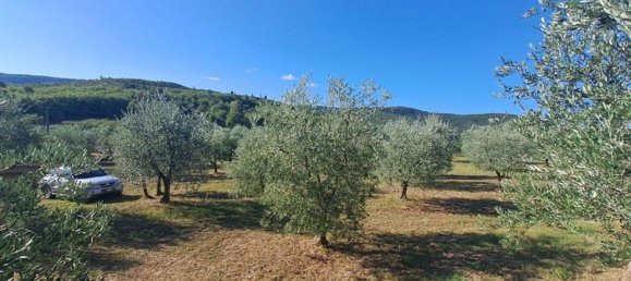 Земельный участок 45м² в Бучине, Италия № 258990 13