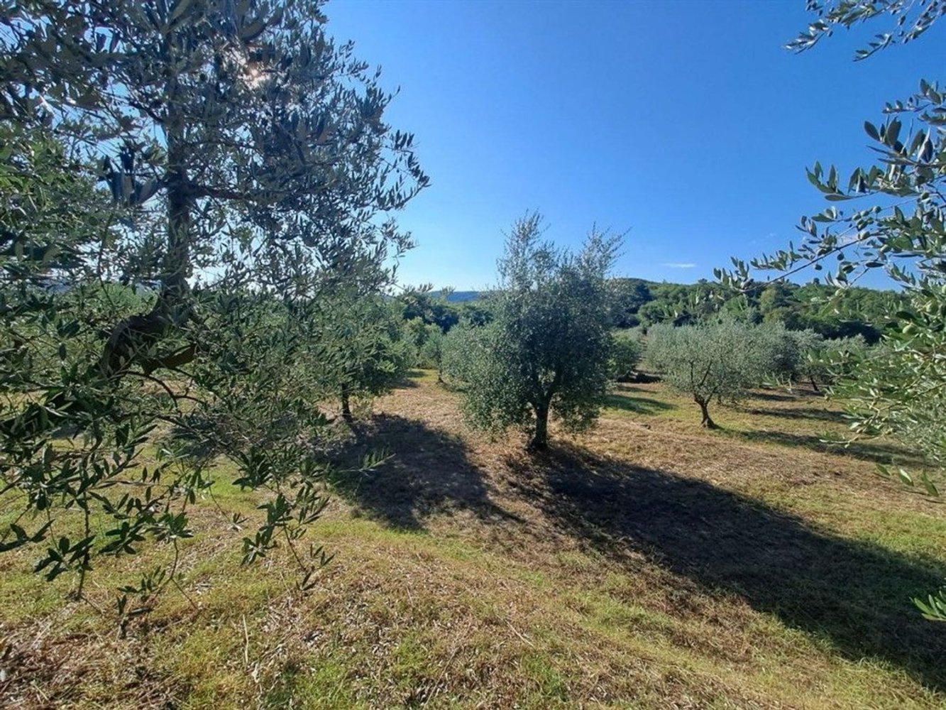 Земельный участок 45м² в Бучине, Италия № 258990